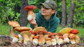 Picking and cooking Porcini mushrooms in Ukrainian forest in June, Life in the village