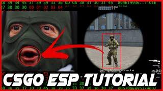 D3D9 CSGO ESP Tutorial 1 -  EndScene Hook Tutorial