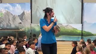 Earth Rangers teach students at Bonnycastle about the importance of protecting our earth