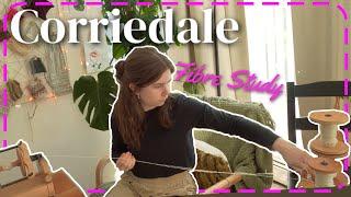 Spinning Corriedale Wool  | Episode 5: 12 Months of Handspun Yarn (Long Way Homestead)