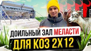 Доильный Зал для коз от Melasty 2х12 (Липецк)