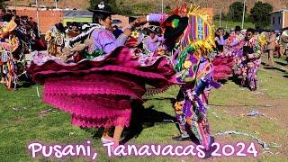 Gran comparsa de CH'UTAS "Fanáticos de Pusani" Virgen de Candelaria Tanavacas - Puerto Acosta 2024