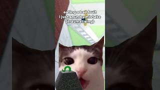 ROBLOX BLOXFRUITS IN A NUTSHELL... CAT MEMES