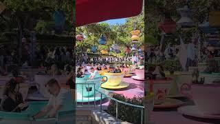 Disneyland Tea Cups Ride #Disneyland #disney #aliceinwonderland