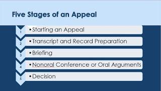 Steps in an Appeal to the Minnesota Court of Appeals