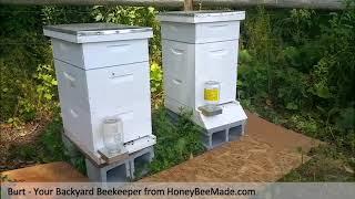 HoneyBeeMade - Backyard Beekeeper