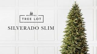 Silverado Slim | Tree Lot