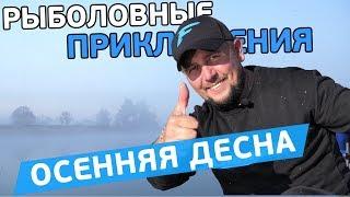 Осенняя фидерная рыбалка на Десне! Рыболовные приключения с Евгением Чертенковым!