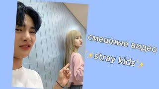 смешные видео с stray kids || 1 часть