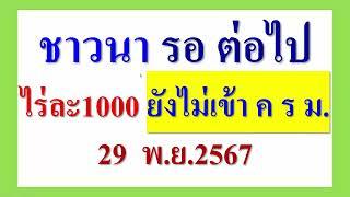 ชาวนา รอต่อไป   ช่วยค่าเกี่ยวข้าว ไร่ละ1000  29 พ.ย. ยังไม่เข้าที่ประชุม ค ร ม.