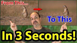 How I Fixed A Busy Background In 3 Seconds!