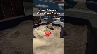 #риви #глент #ривиа4 #tiktok #ривиа4 #shortvideo #активприйди #актив #roblox #влада4 #шортс #а4