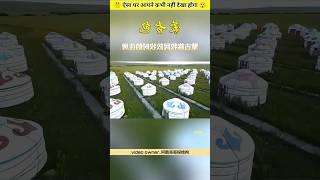 How Mongolian Yurts Are Built Smart & Strong Design Explained! #shorts