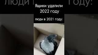 ворон выпал