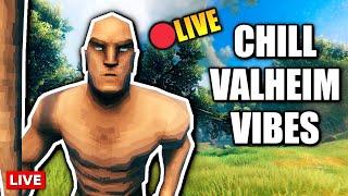 Cosy Valheim Gameplay To Relax & Study To - Speedrunner Does Rare "Normal" Gameplay (Part 2)