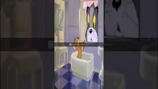 memes  Мем Том и Джери вы кто такие я вас не звал, попу мыть.новый тик ток 2023