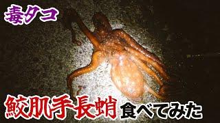 毒タコ・鮫肌手長蛸を食べてみた