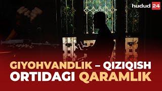 Giyohvandlik – qiziqish ortidagi qaramlik | Гиёҳвандлик – қизиқиш ортидаги қарамлик