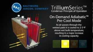 TrilliumSeries™ Condenser - Construction Details and Principle of Operation