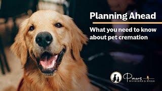 Planning Ahead – What You Need To Know About Pet Cremation | Paws, Whiskers & Wags