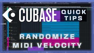 How To Randomize Midi Note Velocity in Cubase 12 (Humanize Midi Notes w/ Logical Editor)