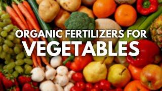 Organic Fertilizers For Vegetables | The Best Fertilisers Are Here