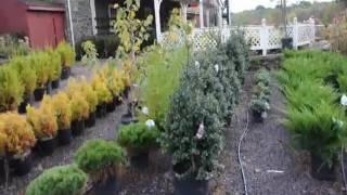 Hardscaping and landscaping materials we stock in Bucks County