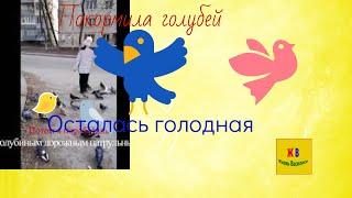 Покормила голубка_Осталась без завтрака_Перевела голубей через дорогу_Классные ребята_Ржака! #Shorts