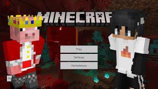 How to get Technoblade and Sapnap Skins on Any Minecraft Bedrock Device