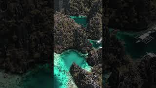 Twin Lagoon, Coron, Palawan, Philippines  #philippines #vlog #travel #travelvlog #shorts