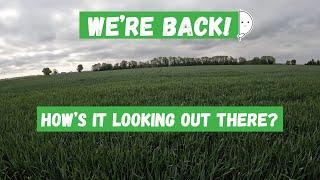 WE'RE BACK... LET'S SEE HOW FARMING HAS BEEN GOING - Fenland Farming Adventures