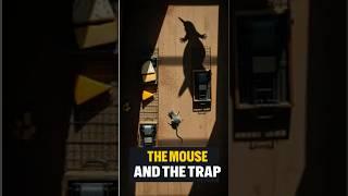 The Mouse and the Trap #giggletoons #moralstories #animals #viralshorts