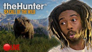 THE HUNTER: CALL OF THE WILD LIVE! HUNTING KANGAROOS!! LATE NIGHT STREAM! JOIN UP NOWW!