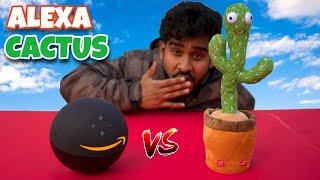 Talking CACTUS vs Amazon ALEXA (कैक्टस ने किया बुरा हाल)