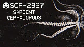 SCP-2967 - Sapient Cephalopods : Object Class - Euclid : Sentient SCP