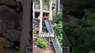 When your Airbnb has a 75 waterslide                          : TikTok / galen.avl