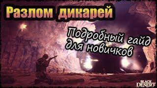 Black Desert Разлом дикарей. Подробный гайд для новичков