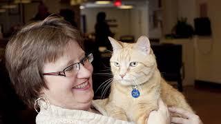 Martha Bird adopts cat through Animal Humane Society's Loved for Life program