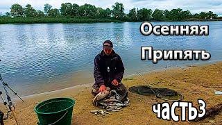 Осеняя Припять. Ловля фидером на реке Припять.