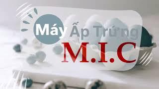 Máy ấp trứng Mic 200 quả bản mới 2025 | Tự Động Đảo, Phun Sương, Diệt Khuẩn| 090.3090.3.30