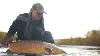 Salmon fly fishing season 2019 recap. World record atlantic salmon?