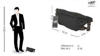 Сумка на пояс CabinZero CLASSIC HIP PACK 2L/Black Sand Cz20-1801