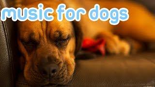 10 HOURS Deep Separation Anxiety Music for Dogs! Chill Your Dog 24/7!