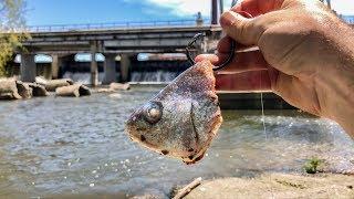 I Caught The SPILLWAY MONSTER!!! (New PB x2!)