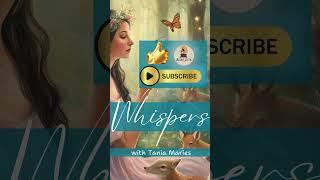 Audiobooks Whispered to You | Aesops Fables ASMR Storytelling | Whispers by Audio Attic