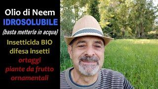 OLIO DI NEEM IDROSOLUBILE PER AGRICOLTURA