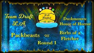 DSK Season  - Packbeasts vs Birbs of a Fletcher - Round 1