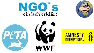 NGO´s einfach erklärt I Definition, Vorteile & Kritik