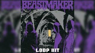 [FREE] Southside LOOP KIT / FREE LOOP KIT 2022 - "BEASTMAKER" (Southside, Nardo Wick,Future)