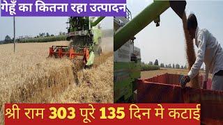 गेहूँ की कटाई चालू# इतने खराब साल मे कितना निकला श्री राम 303 गेहूँ#303#agriculture